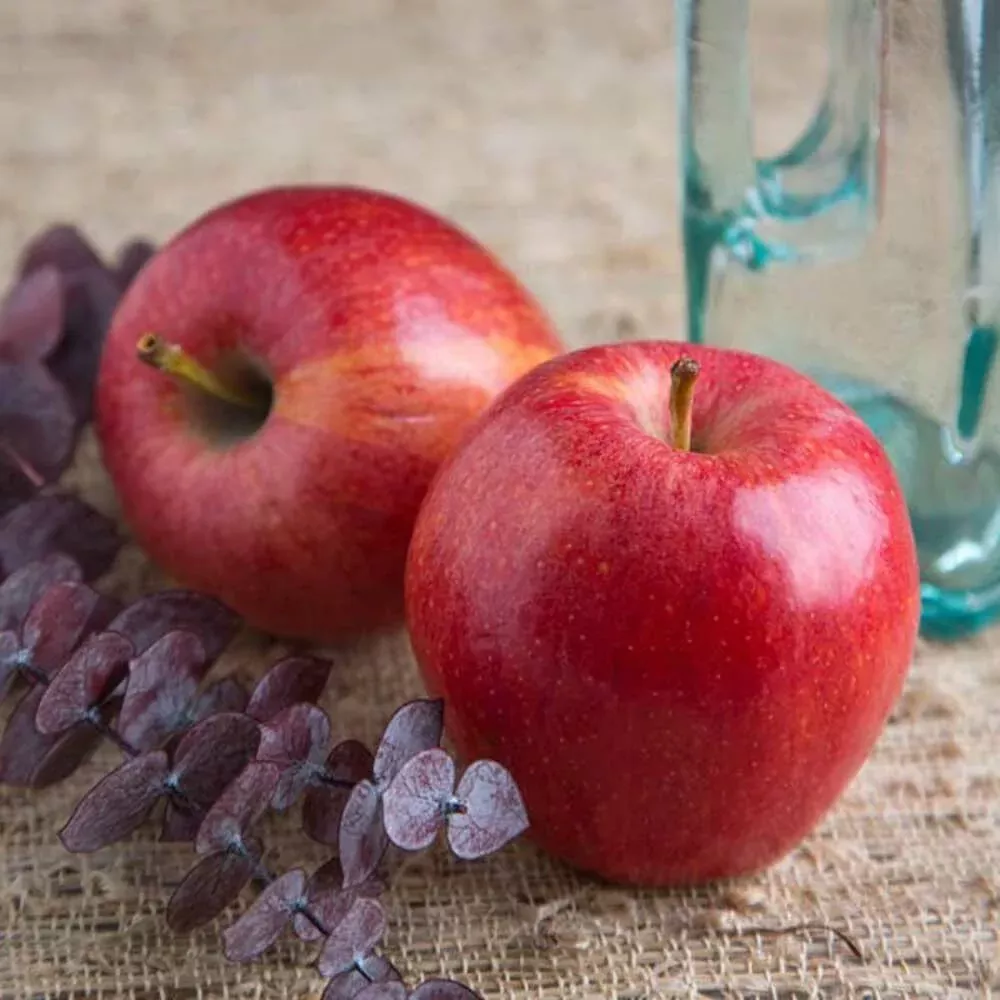 Apple Cotton Candy (Ready to Eat)
