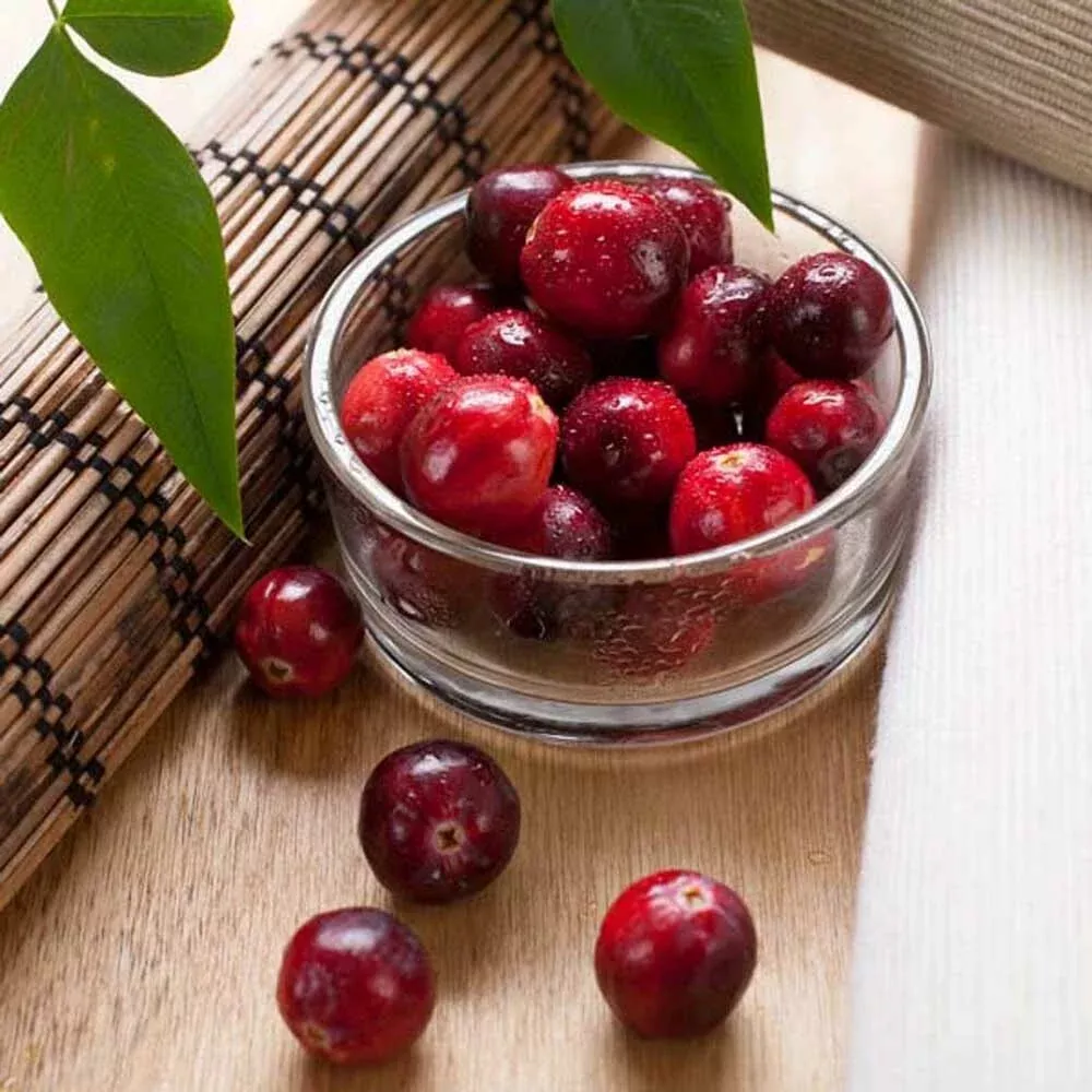 Organic Cranberry Fragrance Powder