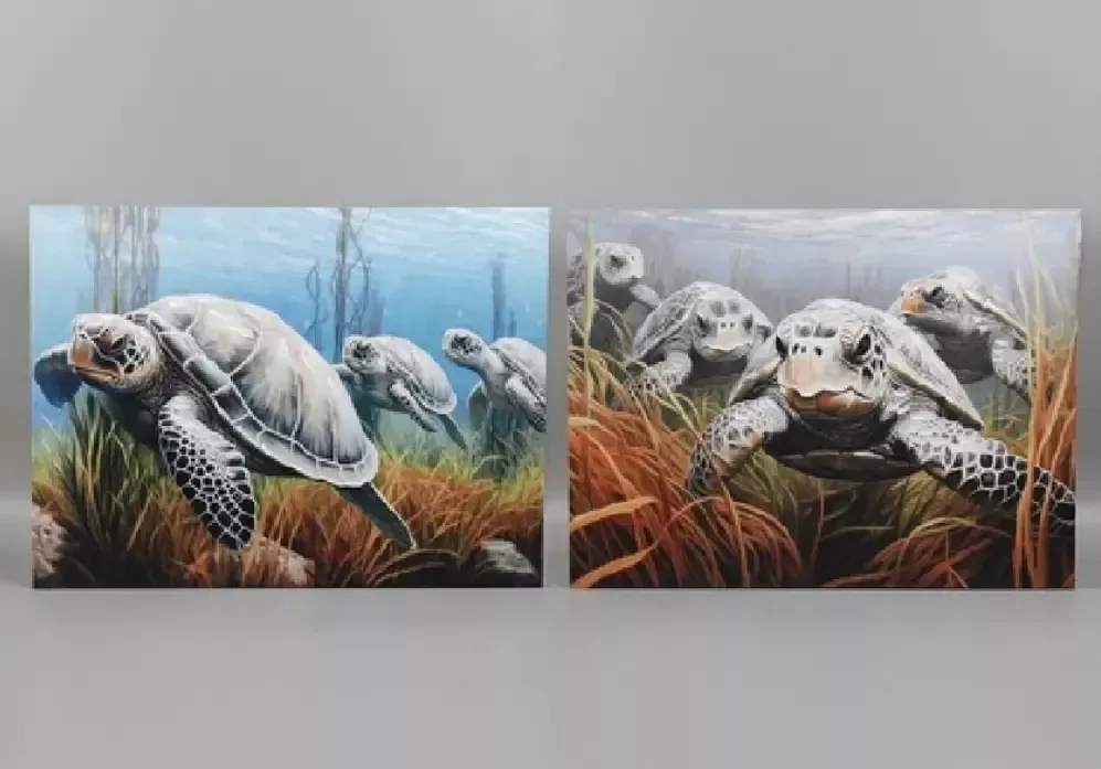 Turtle Wall Art Canvas Near Me MayRich Decor